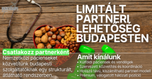 limitált partneri lehetőség budapesten